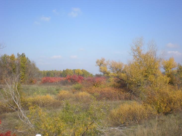 Великоолександрівка з panoramio.com - Великоолександрівка