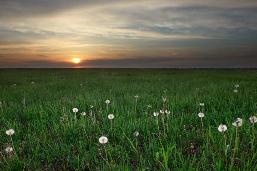 Вовчанськ з panoramio.com - Волчанск