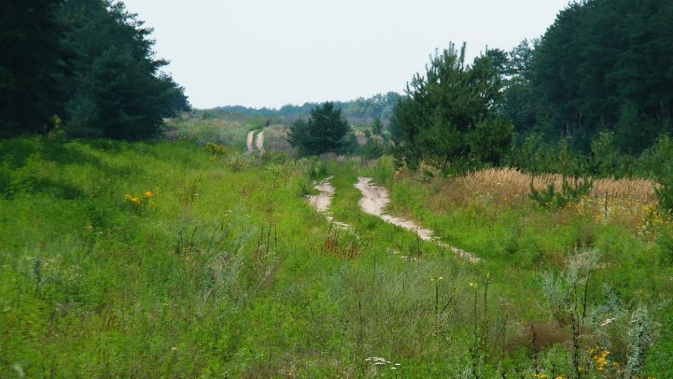 Потоки з panoramio.com - Потоки