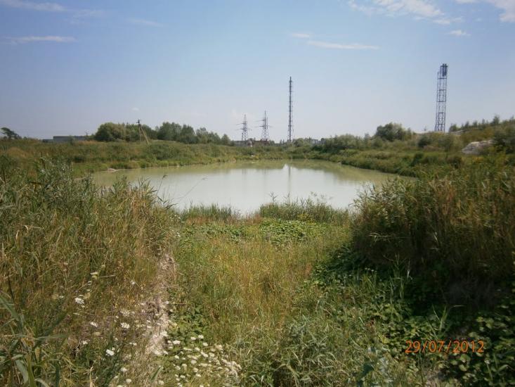 Розділ з panoramio.com - Роздол