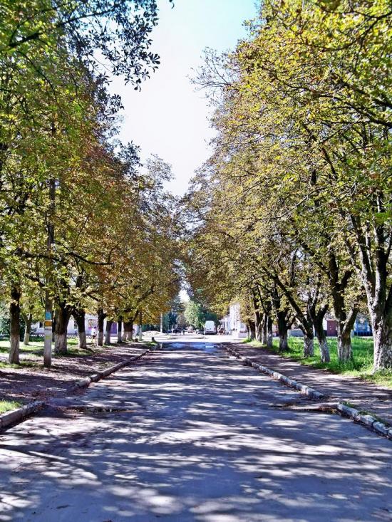 Сосниця з panoramio.com - Сосниця