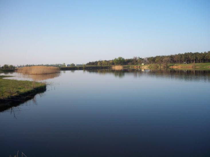 Баштанка з panoramio.com - Баштанка