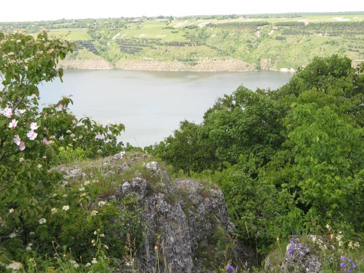 Гораївка з panoramio.com - Гораевка