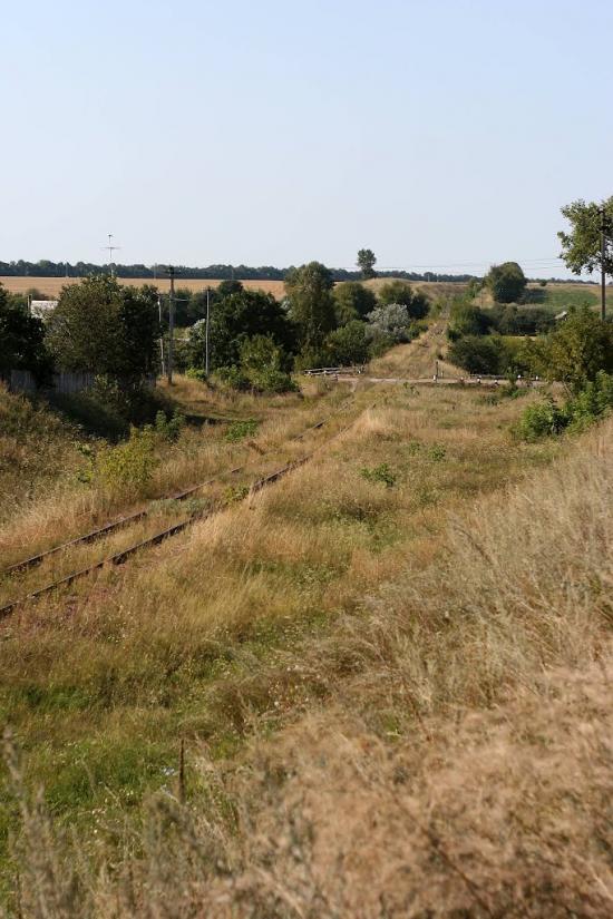 Кам'янка з panoramio.com - Kamyanka