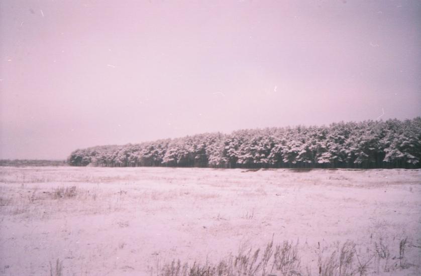 Любомль з panoramio.com - Любомль