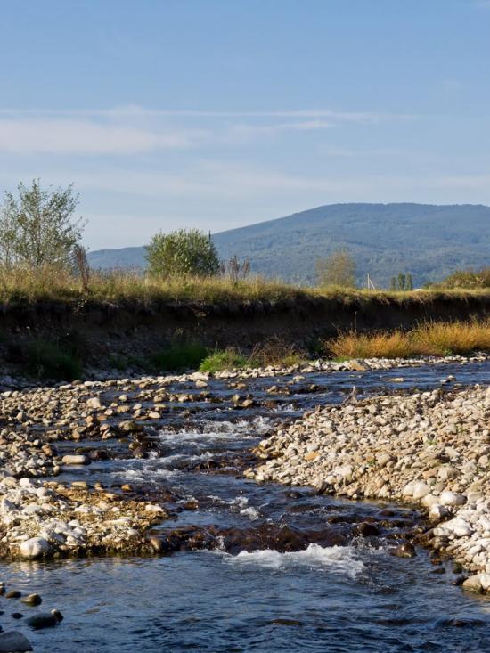 Іршава з panoramio.com - Иршава