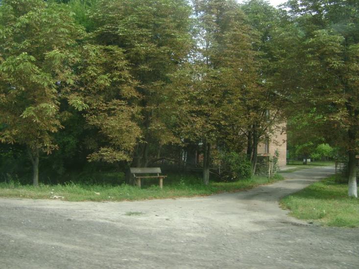 Березань з panoramio.com - Berezan