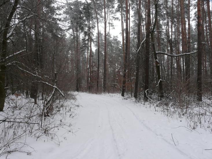 Ічня з panoramio.com - Ичня