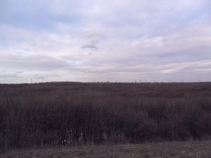 Карло-Марксове з panoramio.com - Карло-Марксово