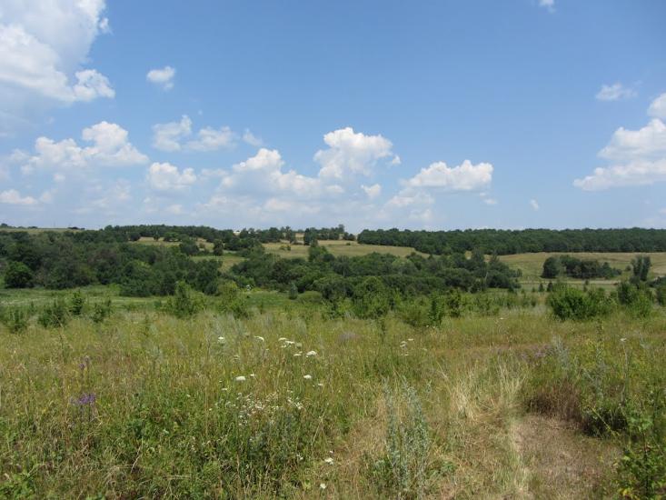 Попівка з panoramio.com - Поповка