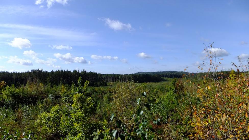 Нова Мощаниця з panoramio.com - Новая Мощаница