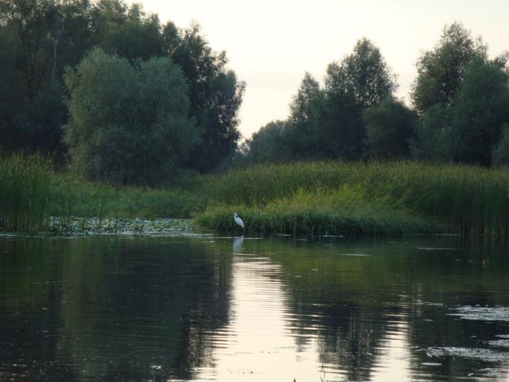 Хрещатик з panoramio.com - Крещатик