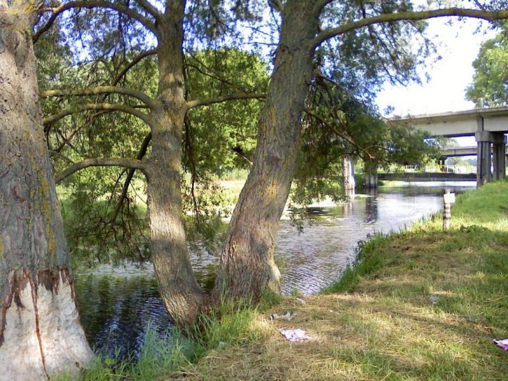 Березань з panoramio.com - Berezan