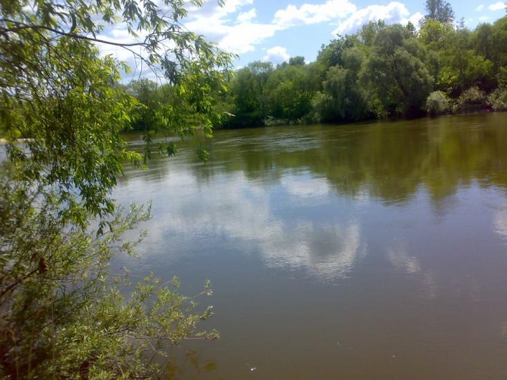 Лисогубівка з panoramio.com - Лысогубовка