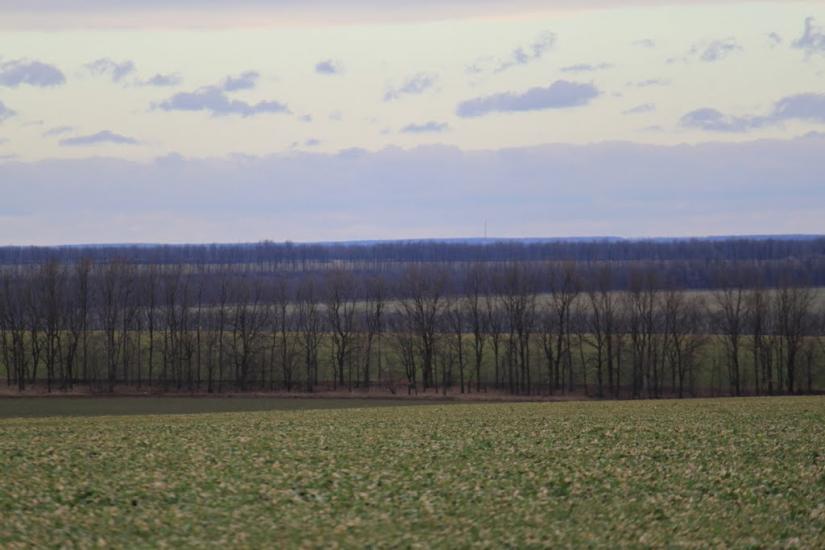 Устя з panoramio.com - Ustya