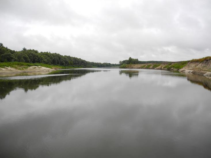 Купчичі з panoramio.com - Купчичі