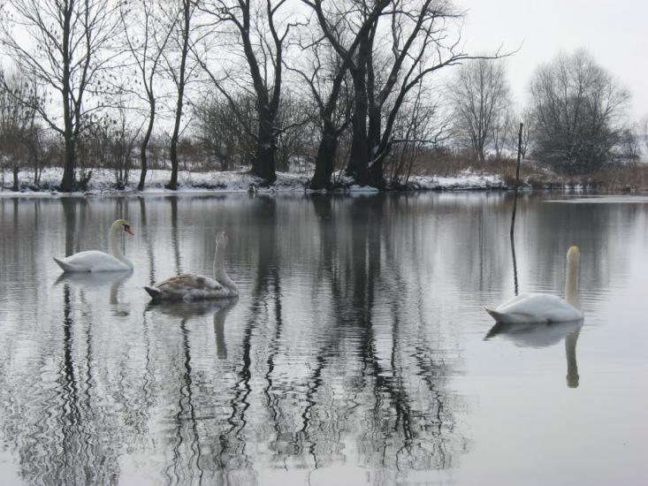 Лідава з panoramio.com - Лідава