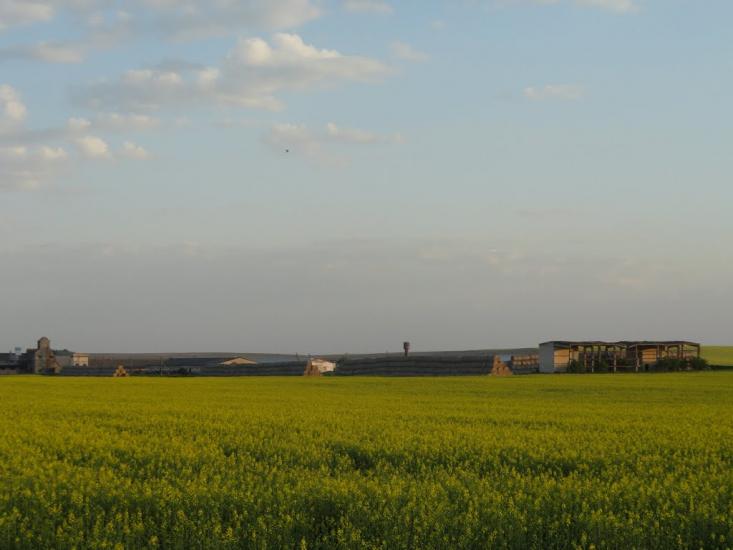 Маковичі з panoramio.com - Маковичі