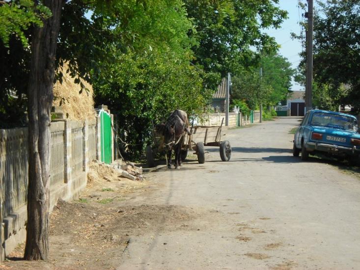 Комишівка з panoramio.com - Камышовка