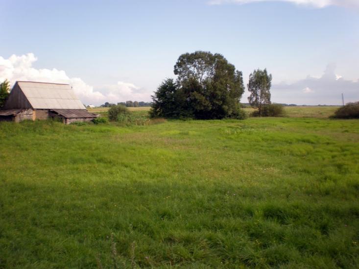 Облапи з panoramio.com - Oblapy
