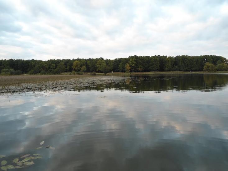 Доброгостів з panoramio.com - Доброгостов