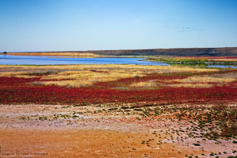 Чонгар з panoramio.com - Чонгар