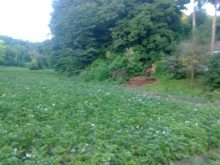 Товсті Роги з panoramio.com - Товсті Роги