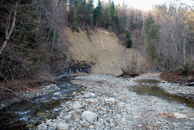 Кричка з panoramio.com - Кричка