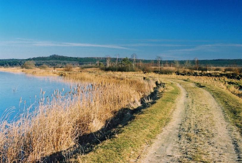 Івано-Франкове з panoramio.com - Ivano-Frankove