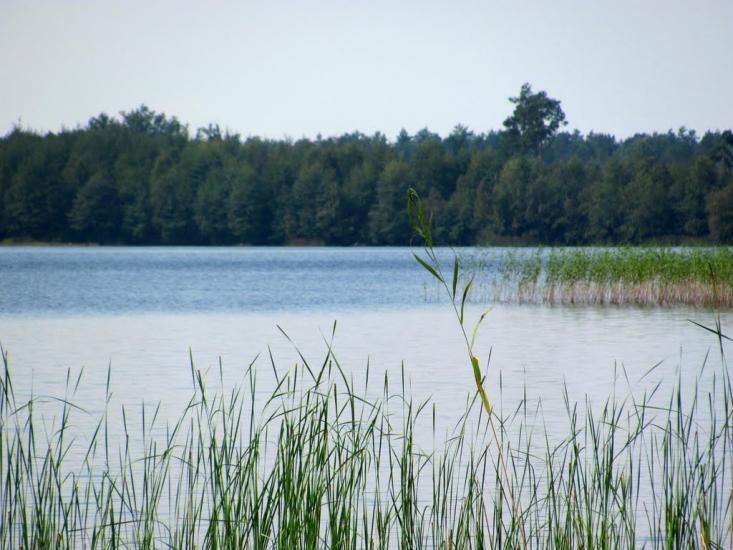 Луко з panoramio.com - Луко