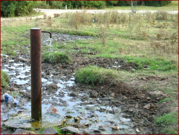 Піонерське з panoramio.com - Пионерское