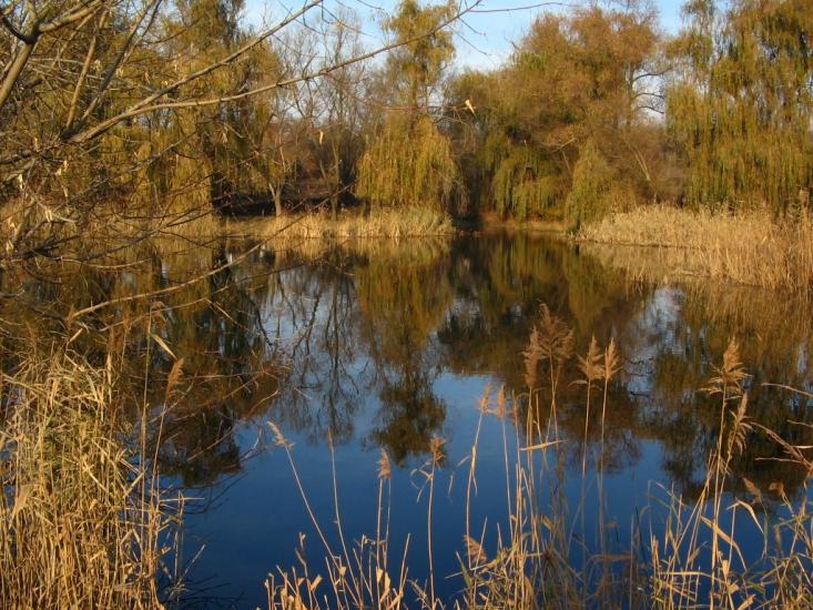 Урало-Кавказ з panoramio.com - Урало-Кавказ