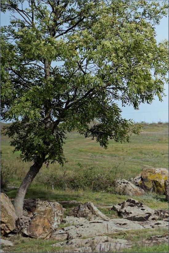 Валове з panoramio.com - Софіївка