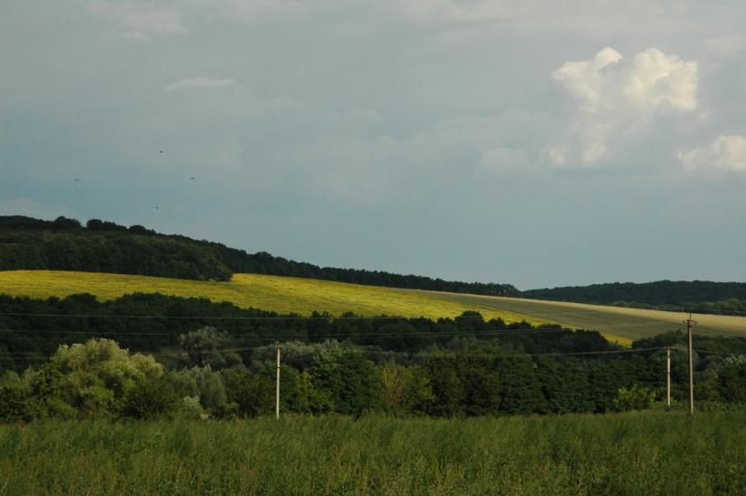 Пединівка з panoramio.com - Pedynivka