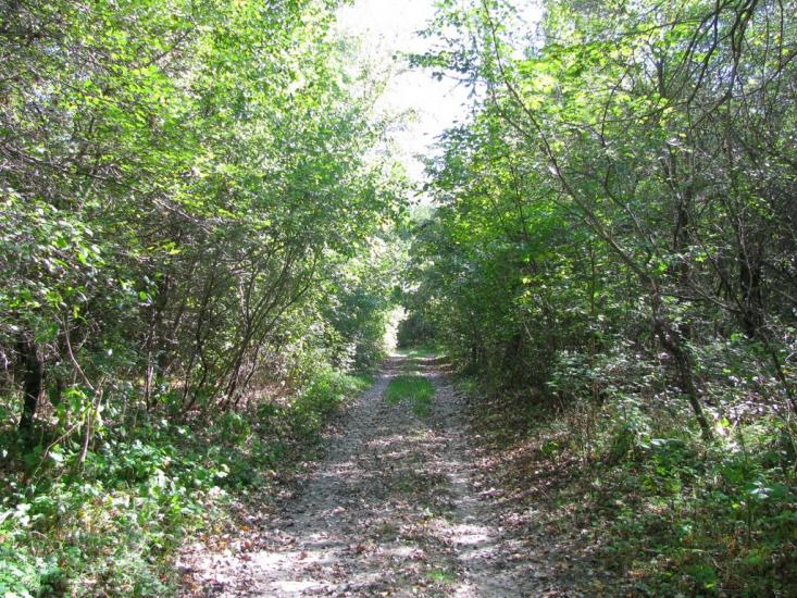 Яреськи з panoramio.com - Яреськи