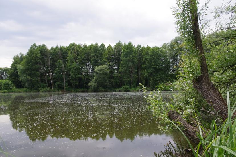 Блиставиця з panoramio.com - Блиставиця