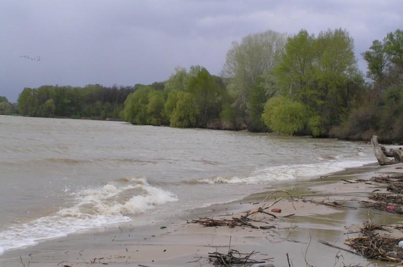 Недогарки з panoramio.com - Nedogarky