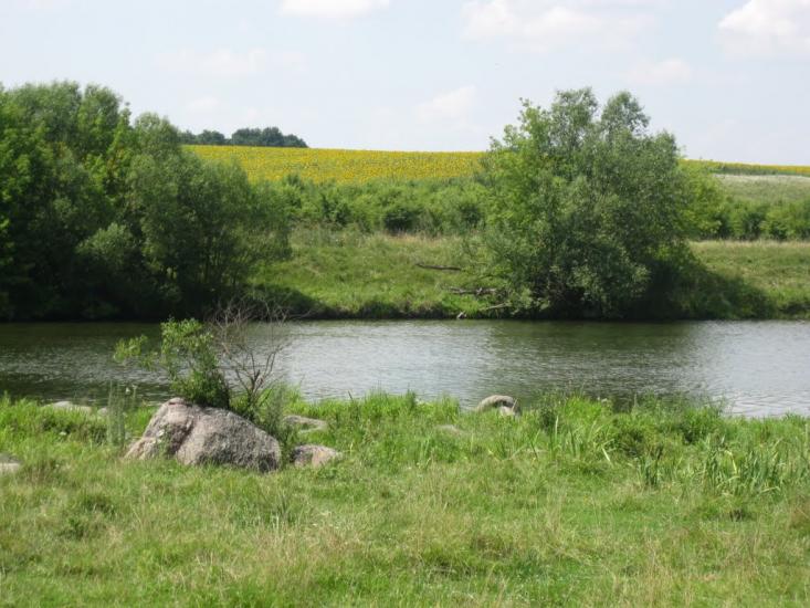 Рогізна з panoramio.com - Рогозна