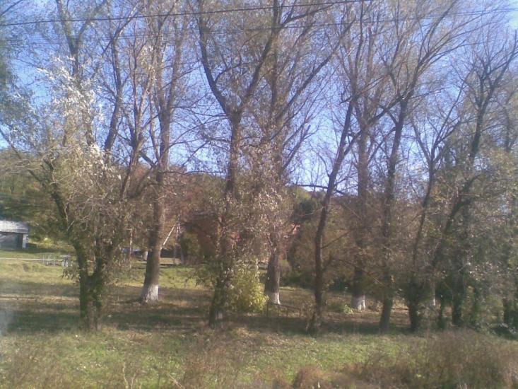 Лисогірка з panoramio.com - Лысогорка