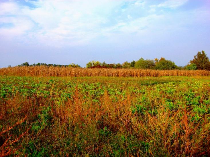Осіївка з panoramio.com - Осиевка