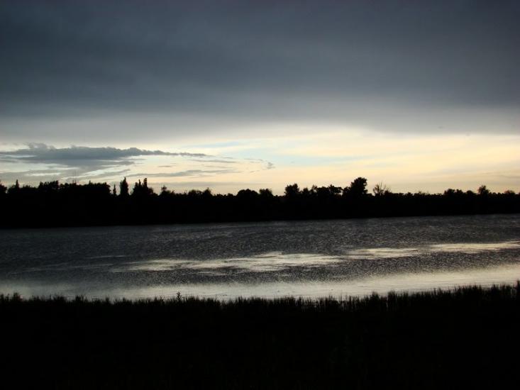 Білокузьминівка з panoramio.com - Білокузьминівка