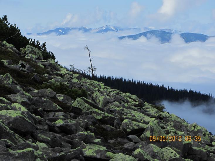 Мислівка з panoramio.com - Мысливка