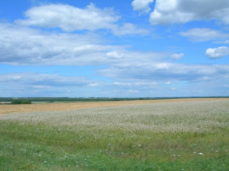 Грем'яч з panoramio.com - Гремяч