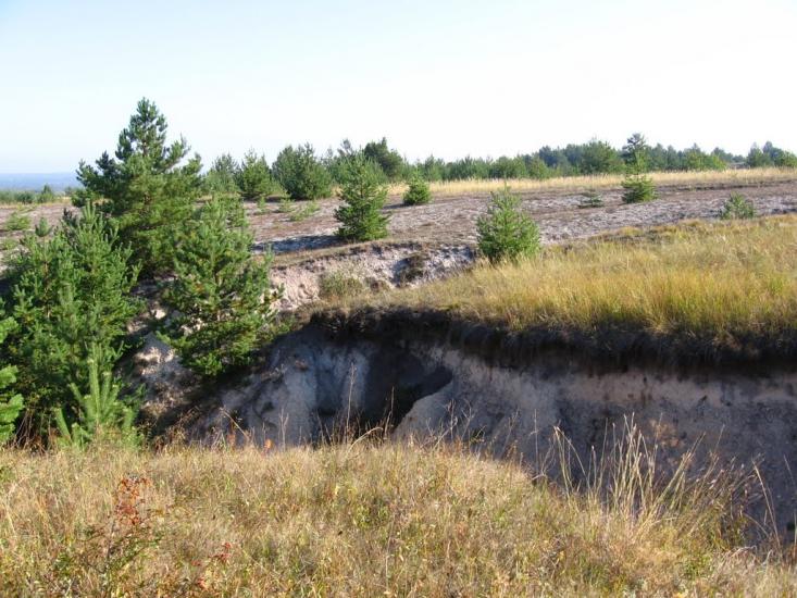 Пискунівка з panoramio.com - Pyskunivka