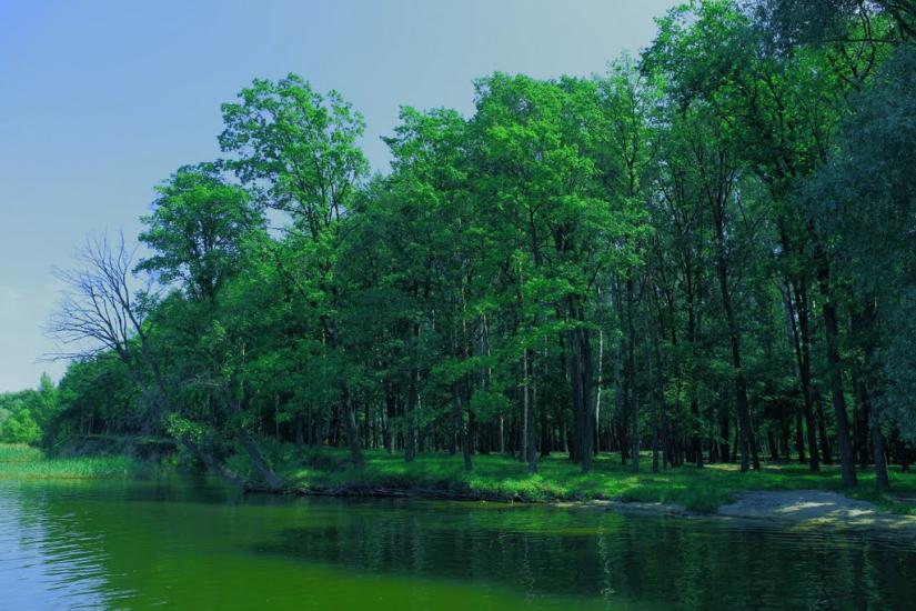 Хотімля з panoramio.com - Хотимля