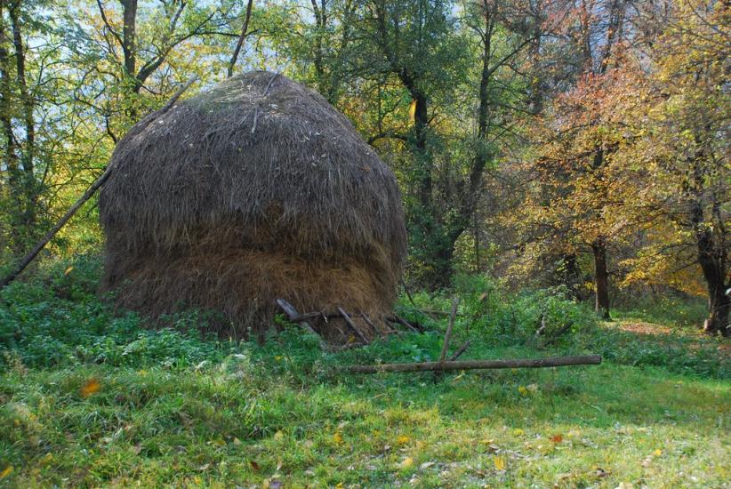 Остапівка з panoramio.com - Остаповка