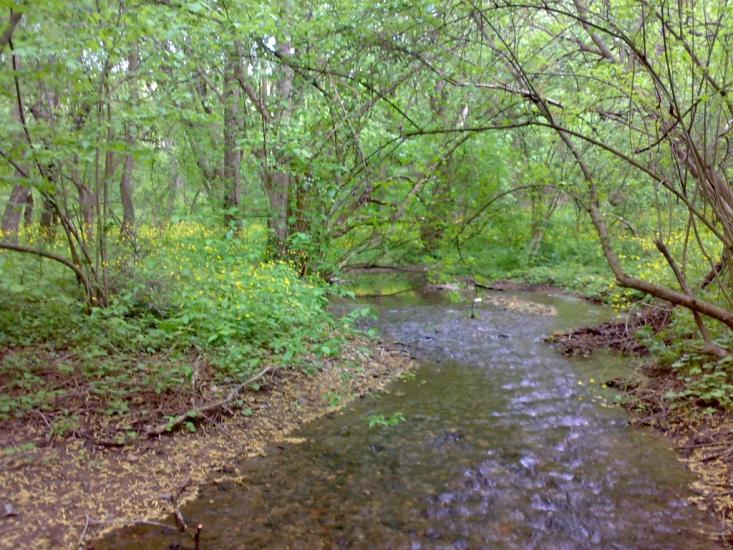 Піонерське з panoramio.com - Пионерское