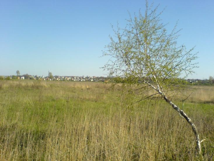 Підбірці з panoramio.com - Підбірці