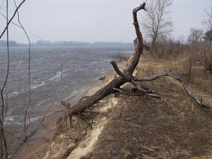 Неданчичі з panoramio.com - Nedanchychi