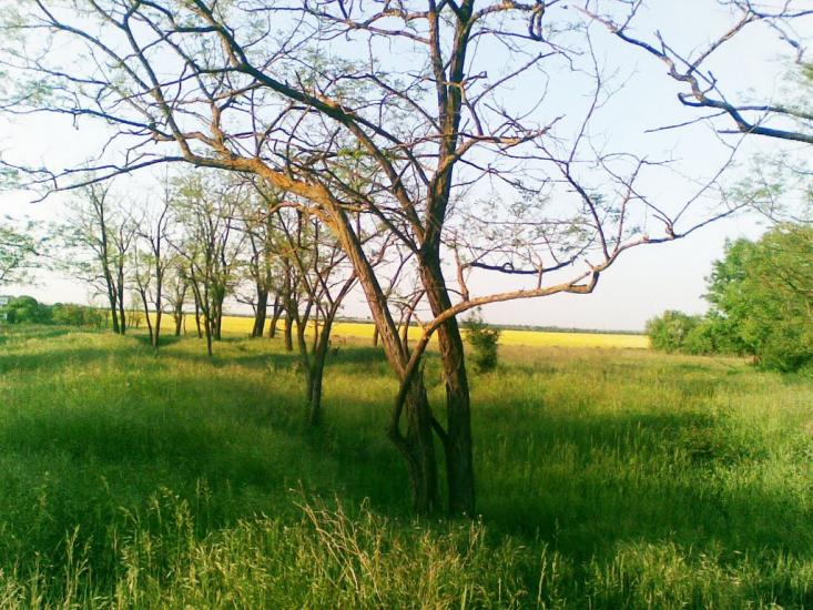 Великодолинське з panoramio.com - Великодолинське